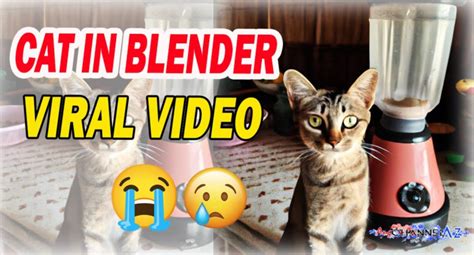 cat blender full video uncensored|who made cat blender video.